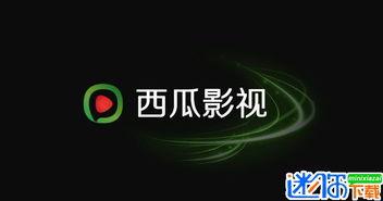 成人免费播放器视频在线观看,免费播放器带你在线领略精彩视频世界