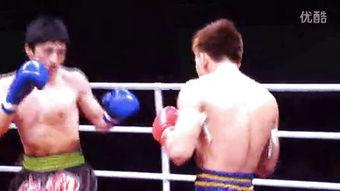 成人散打搏击热身视频,跟随专业视频轻松入门