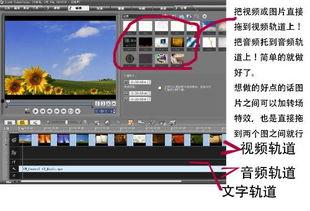 成人调教视频软件